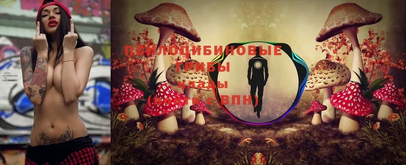 Галлюциногенные грибы Magic Shrooms  ОМГ ОМГ ТОР  Барнаул 